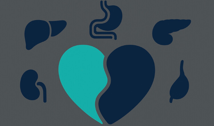 Liver & Heart - Metabolic Health